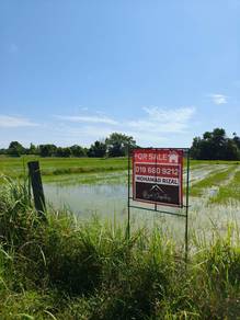 Agricultural Land in Pasir Puteh, KTN