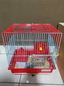 2 Hamsters with New cage