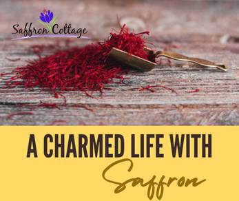 Crocus flowers produce saffron