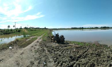 Agricultural Land in Langgar, KDH