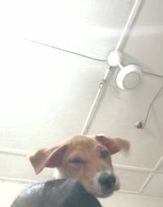 Hi my  name is Jack . 