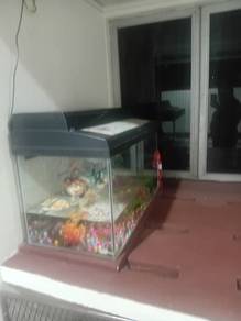 Aquarium with light  condition like new