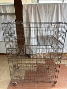 sangkar kucing