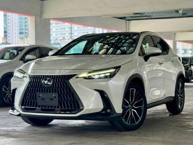 2023 Lexus NX 250 LUXURY