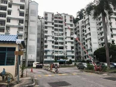 Apartment For Rent in Mutiara Indah