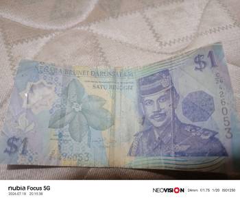Old Notes
