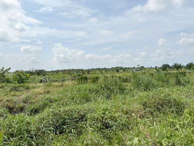 Agricultural Land in Klang, SGR