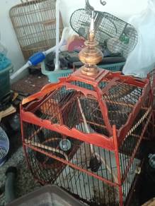 sangkar burung 