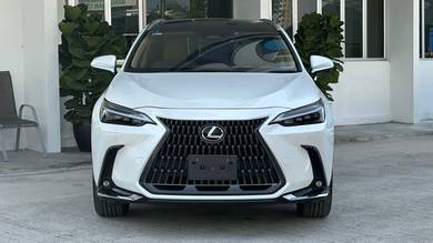 Lexus NX 250 LUXURY in Petaling Jaya, SGR