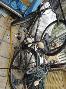 Giant Mountain bike bicycle