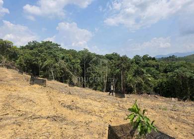 Agricultural Land in Kuala Pilah, NSN