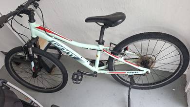 Giant XTC JR Bicycle for Sale