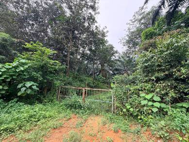 Agricultural Land in Jasin, MLK
