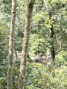 Agricultural Land in Kuala Pilah, NSN
