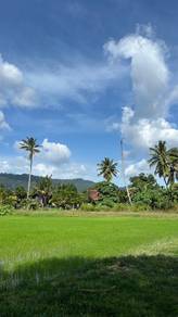 Agricultural Land in Padang Matsirat, KDH