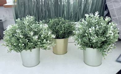 IKEA Flower Pot Daidai