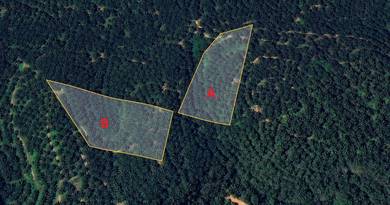 Agricultural Land in Kuala Kangsar, PRK