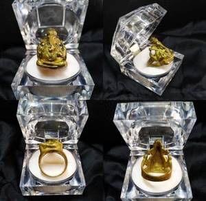 Ring God Lord Ganesh Elephant Ganesha Hindu figuri