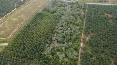 Agricultural Land in Kota Tinggi, JHR