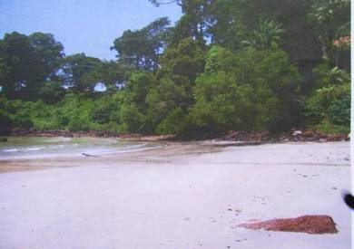 Commercial Land in Port Dickson, NSN
