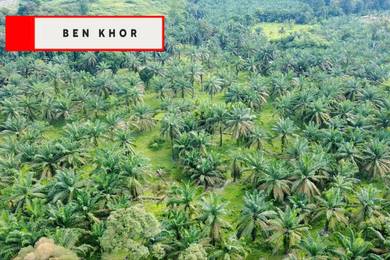 Agricultural Land in Sungai Jawi, PNG
