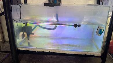 2 biji aquarium