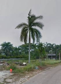 Residential Land in Permas Jaya, JHR