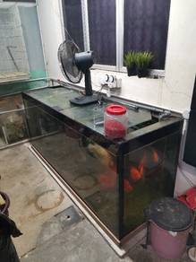 Akuarium 6x2x2.5 