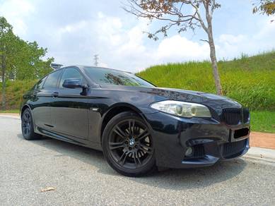 BMW 528i 28i M SPORT in Glenmarie, SGR