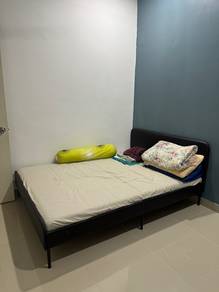 IKEA Queen Size Bed Frame + Mattress