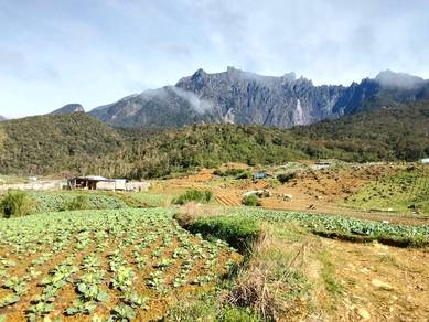 Agricultural Land in Ranau, SBH