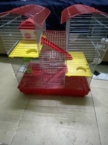 hamster cega