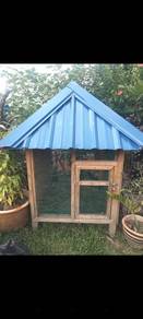 Birds cage