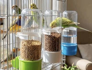 Bekas makanan minum burung