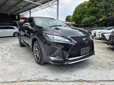 Lexus RX 300 F SPORT in Damansara Kim, SGR