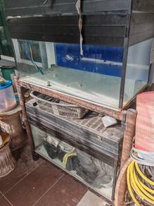 3ft aquarium 