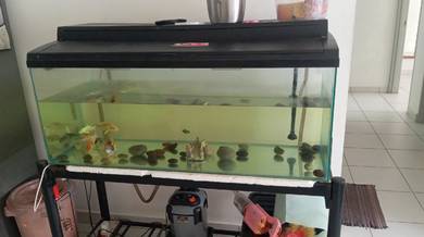fish tank 