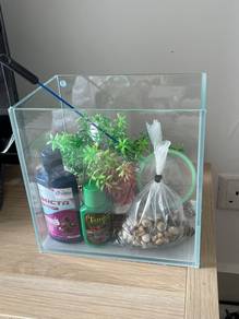 Mini Aquarium Set + Accessories