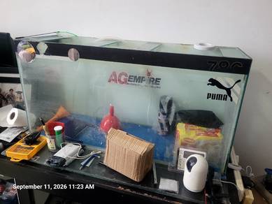 acquiarium glass jar fish