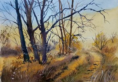 original watercolour painting 