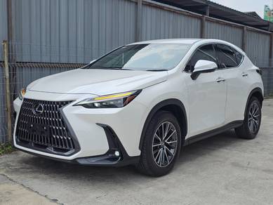 Lexus NX 250 BASE GRADE in Chan Sow Lin, KUL