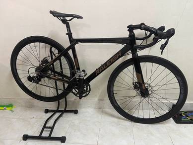 Raleigh Road Bike