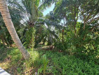 Agricultural Land in Pulau Indah (Pulau Lumut), SGR