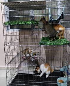 Sangkar  Meow Meow 3 Tingkat