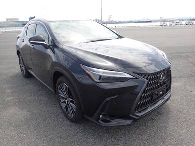 Lexus NX 250 LUXURY in Klang, SGR