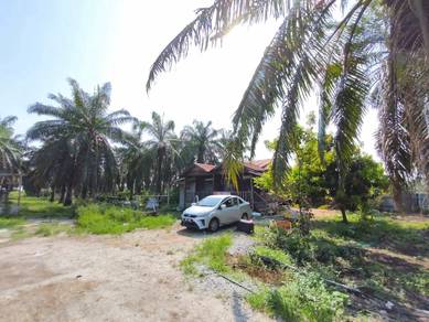Agricultural Land in Sabak Bernam, SGR