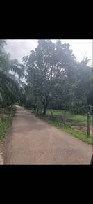 Agricultural Land in Sungai Petani, KDH