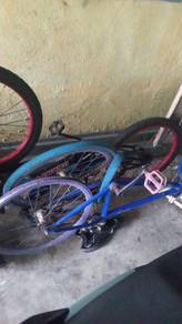 basika fixie dan biasa