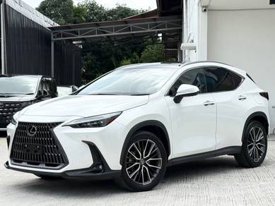 Lexus NX 250 LUXURY in Petaling Jaya, SGR