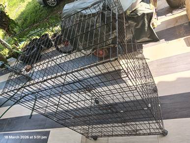 sangkar kucing besi tebal